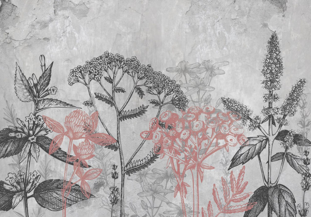 Фотообои Векторные серые растения