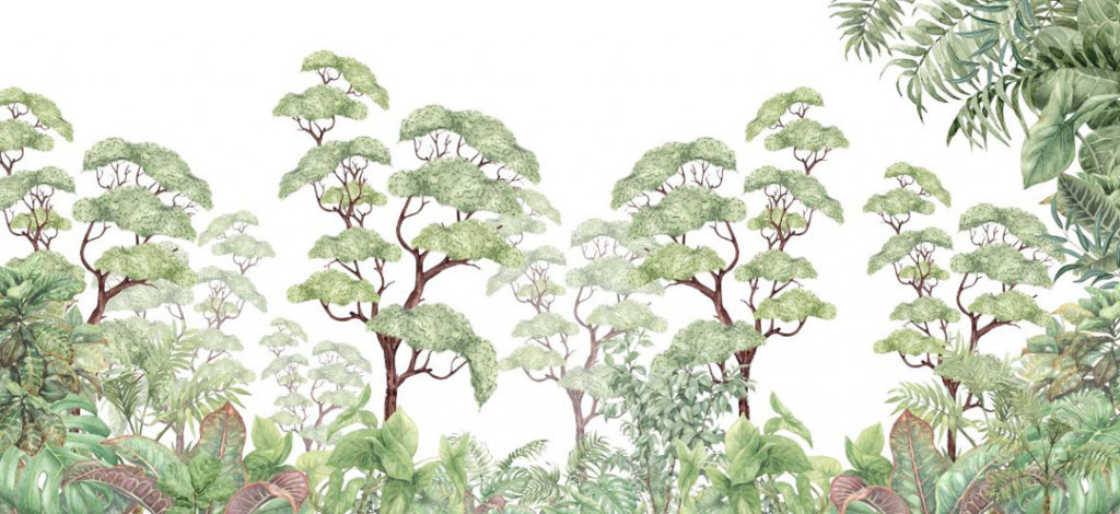 Фотообои  Тропики