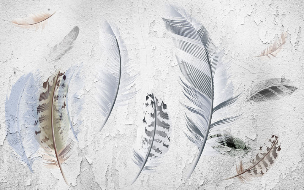 Фотообои Перья, штукатурка