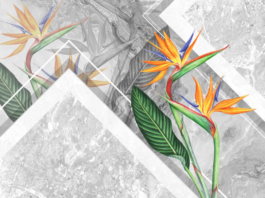 Фотообои стрелиция королевская