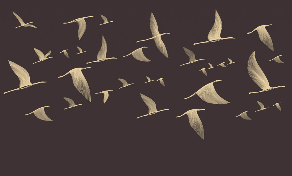 Фотообои птицы