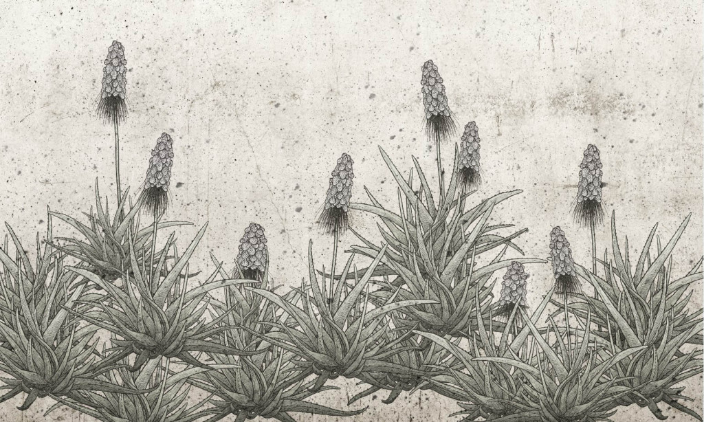 Фотообои скетч