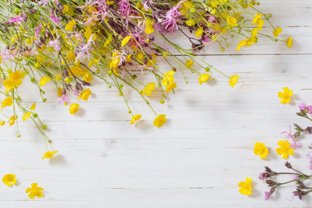 Фотообои цветы