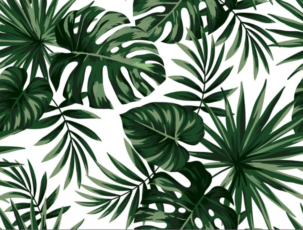 Фотообои Дизайнерские листья