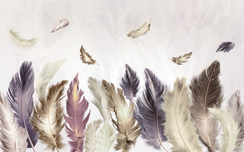 Фотообои Цветные перья на сером фоне