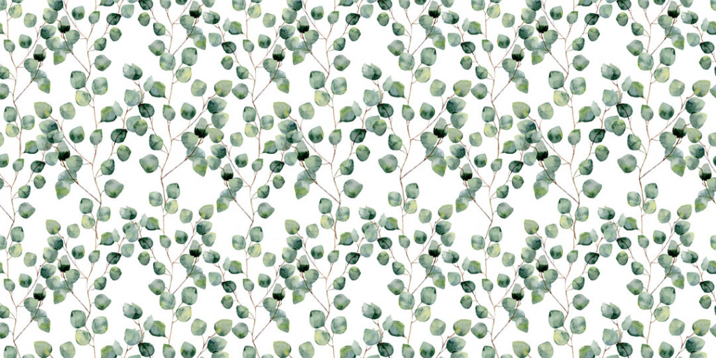 Фотообои Эвкалиптовые листья