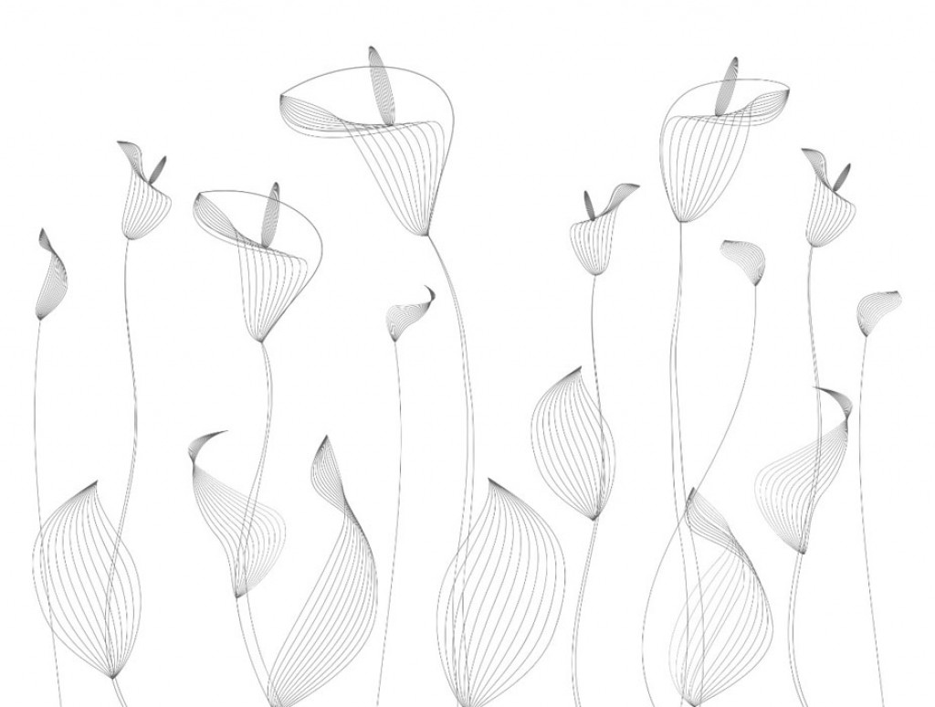 Фотообои  цветы  на белом фоне