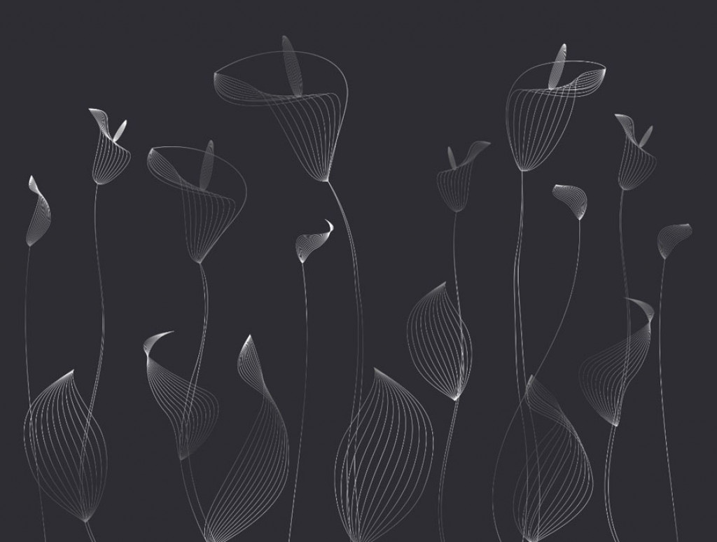 Фотообои  цветы  на черном фоне