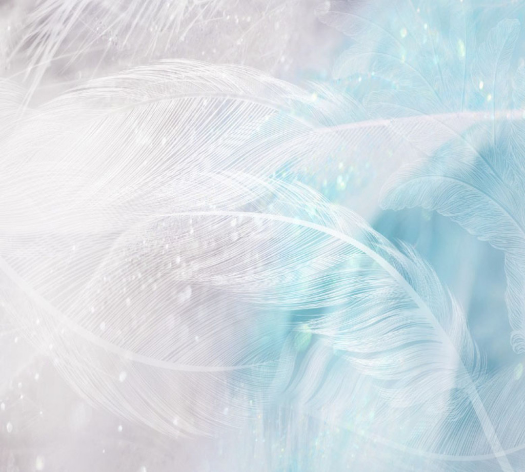 Фотообои Голубые перья