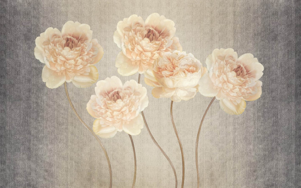 Фотообои пионы