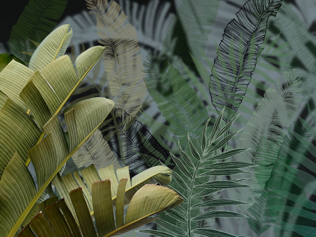 Фотообои Дизайнерские тропические листья тёмные