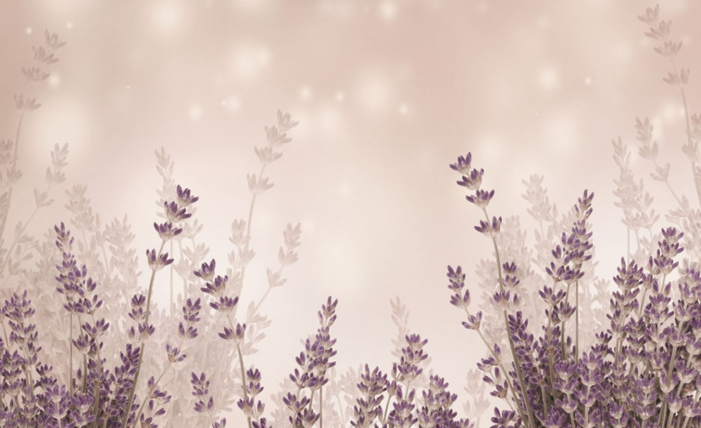 Фотообои Лавандовые ветки на бежевом