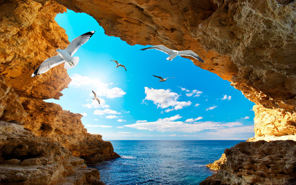 Фотообои Ущелье с птицами