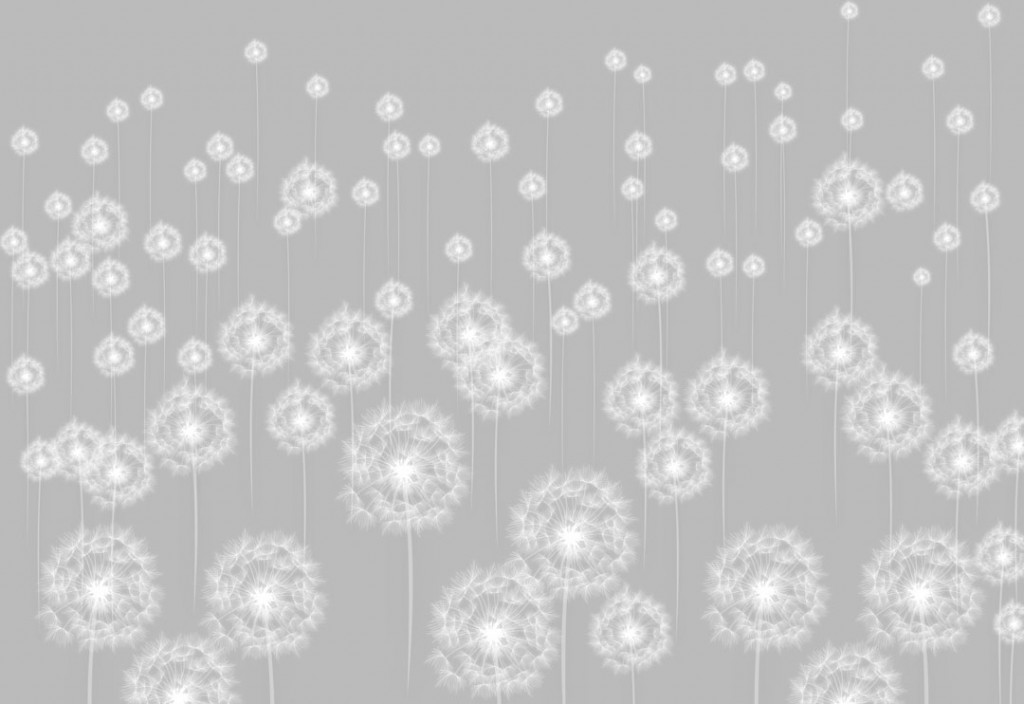 Фотообои Одуванчики на сером фоне