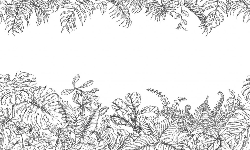 Фотообои Фотообои тропические листья ч\б