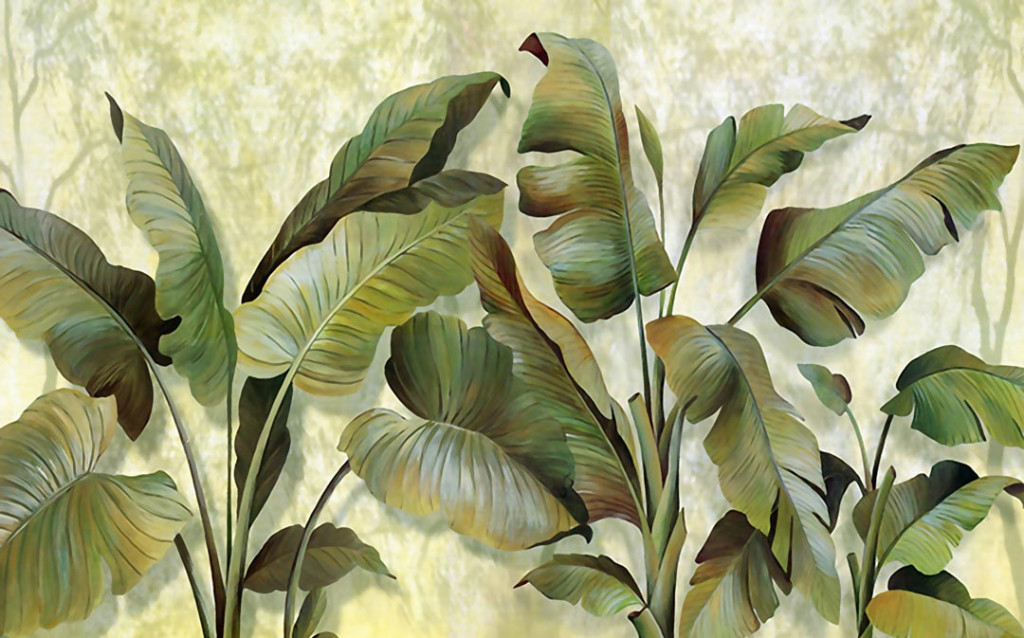 Фотообои Банановые листья