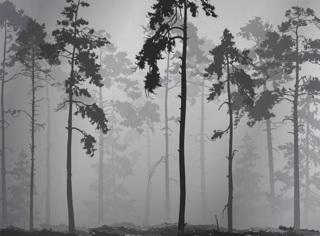 Фотообои Деревья чёрные на сером