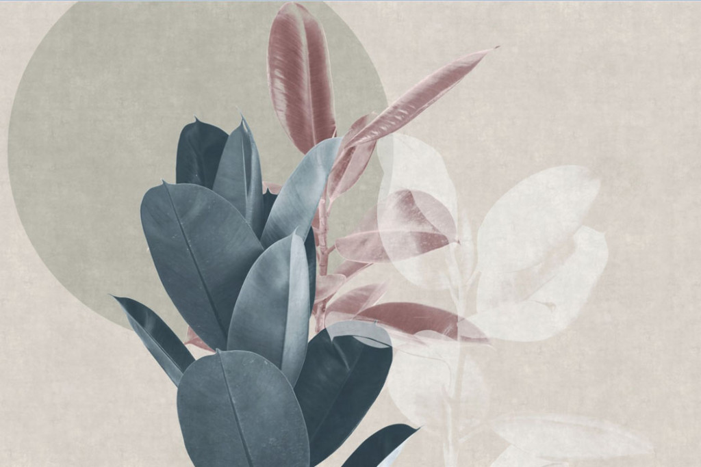 Фотообои Листья фикуса