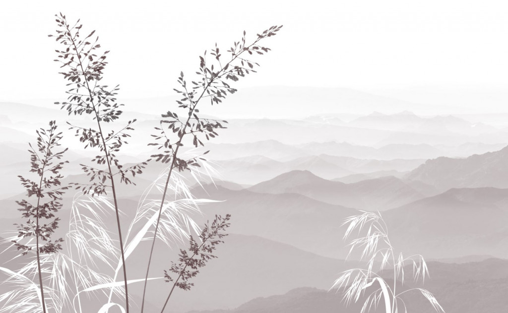 Фотообои  сухостой