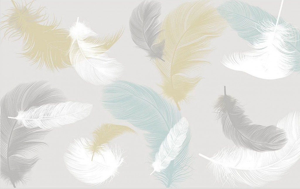 Фотообои Векторные цветные перья