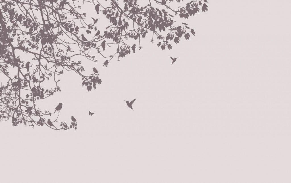 Фотообои Колибои, векторное дерево