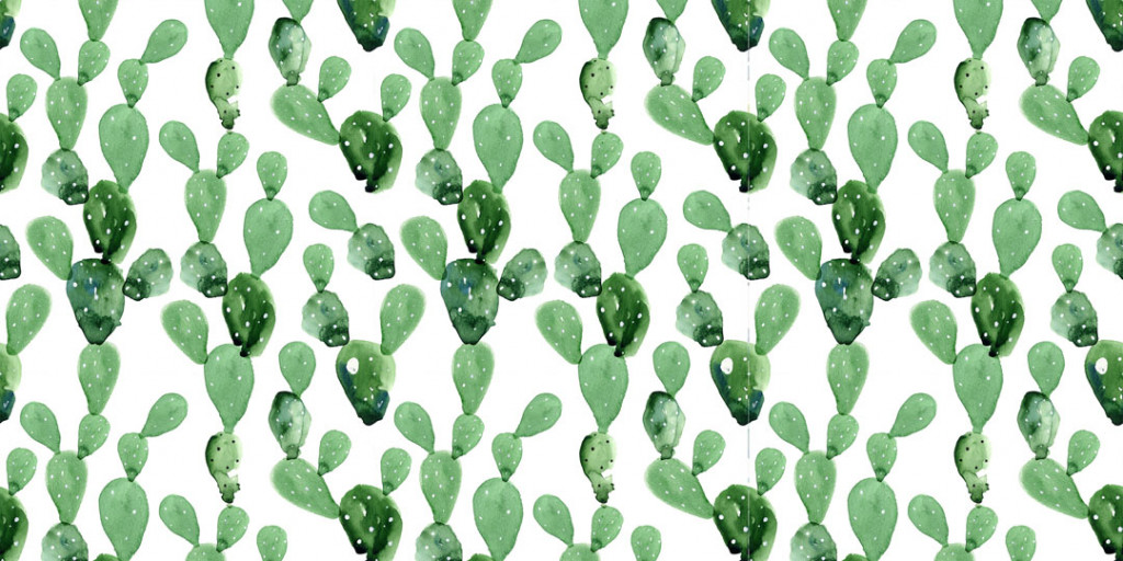 Фотообои Кактусы в скавдинавском стиле