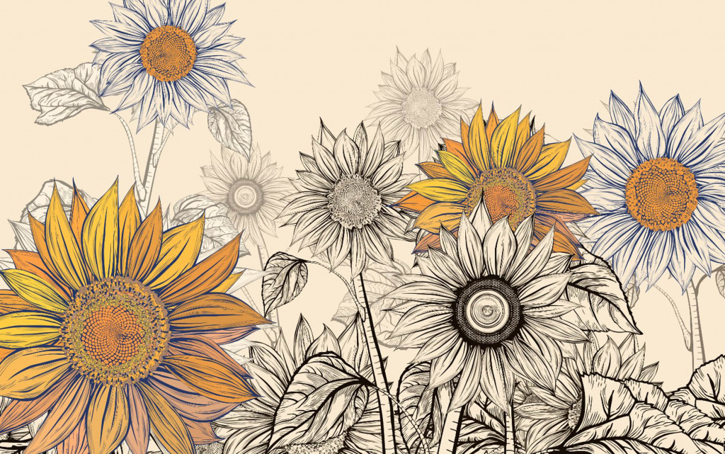 Фотообои подсолнухи