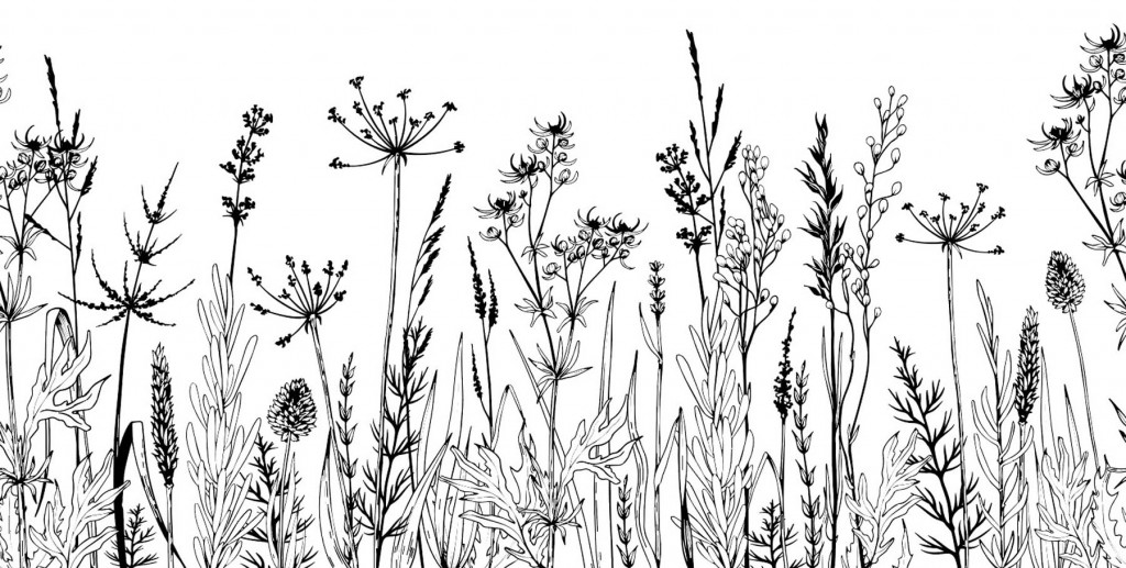 Фотообои трава