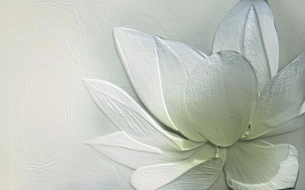 Фотообои Магнолия