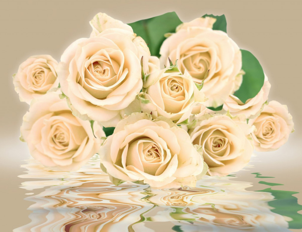 Фотообои букет роз