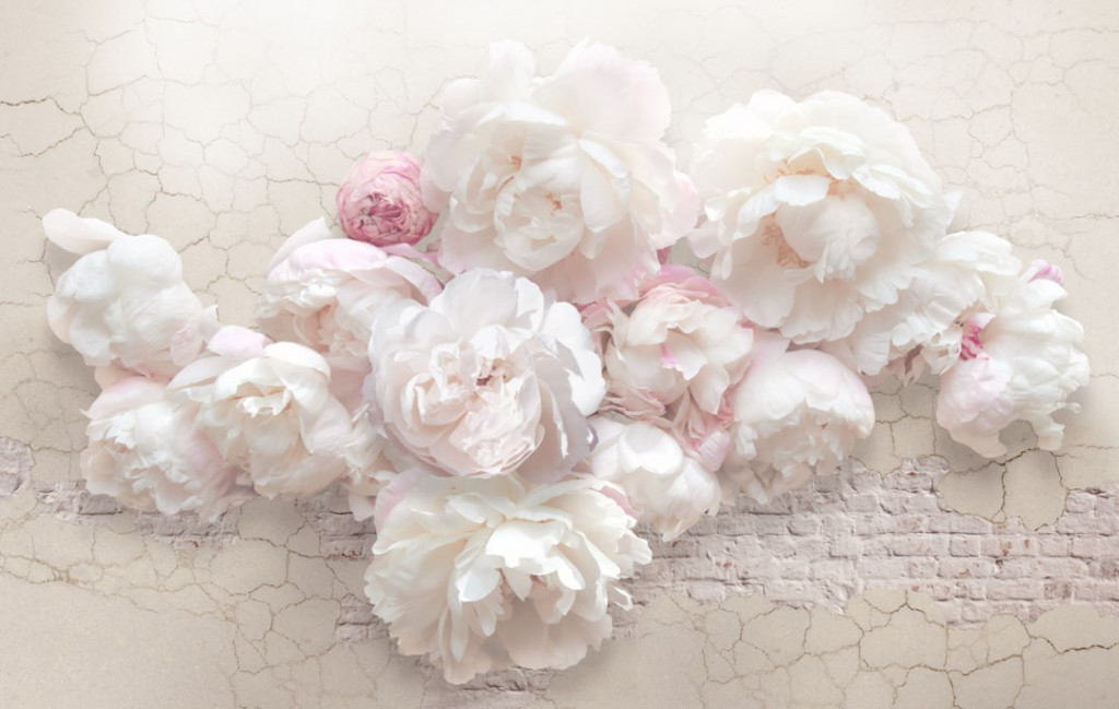 Фотообои Розовые нежные пионы