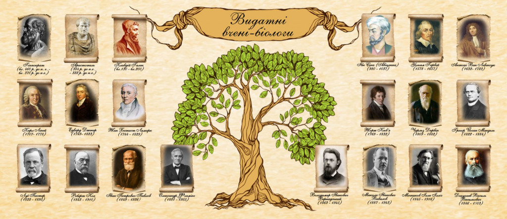 Фотообои в кабинет биологии