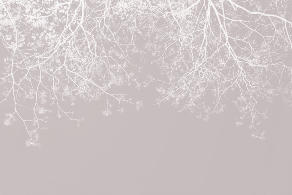 Фотообои Векторные ветки