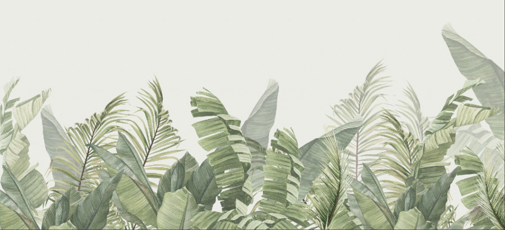 Фотообои Бамбуковые листья