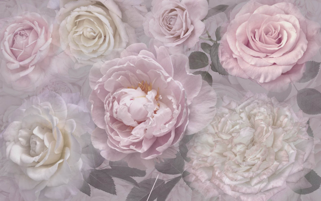 Фотообои розы