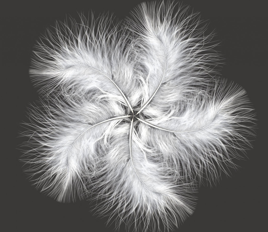 Фотообои Красивая композиция с пеьев