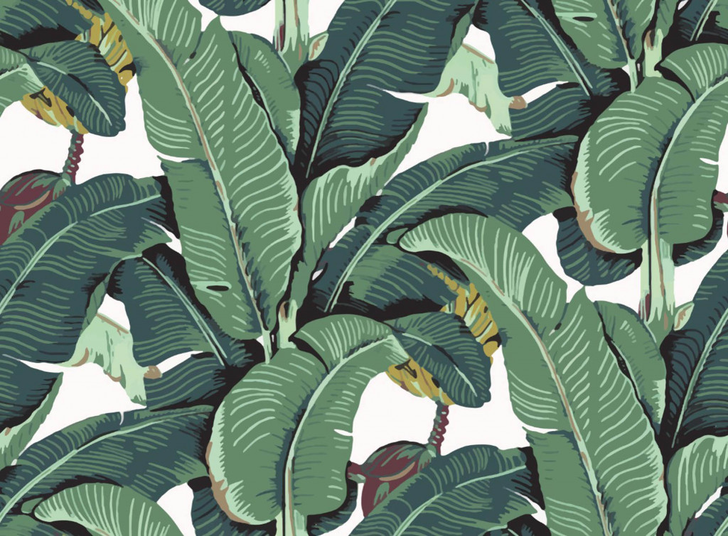 Фотообои тропические листья