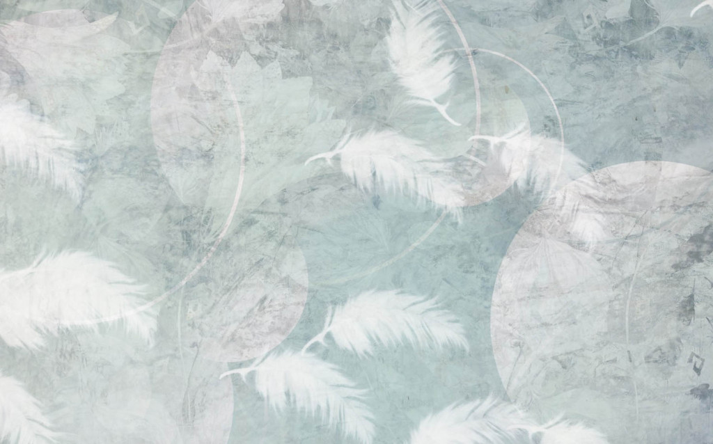 Фотообои перья