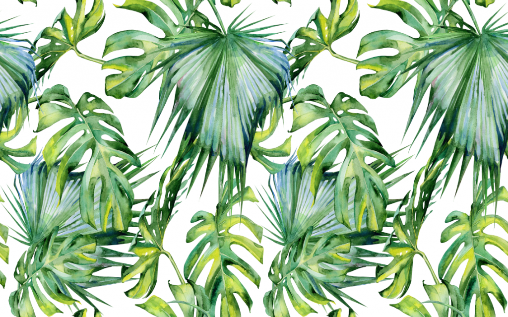 Фотообои Листья папоротника