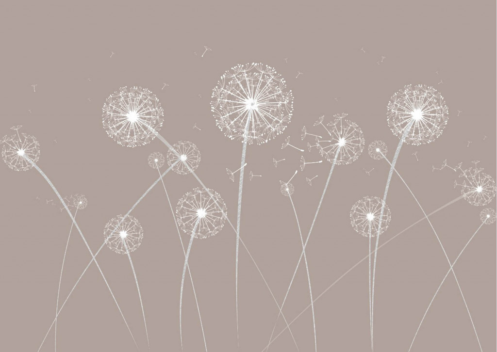 Фотообои одуванчики 