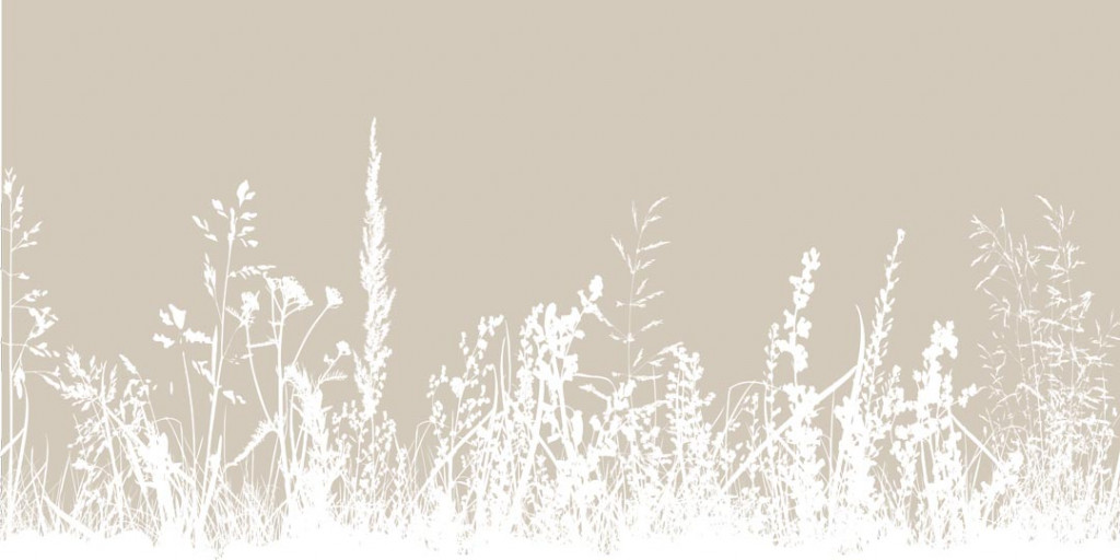 Фотообои Трава