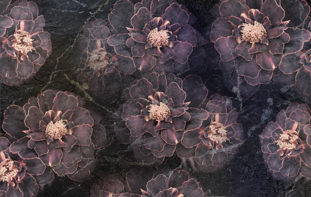 Фотообои flower