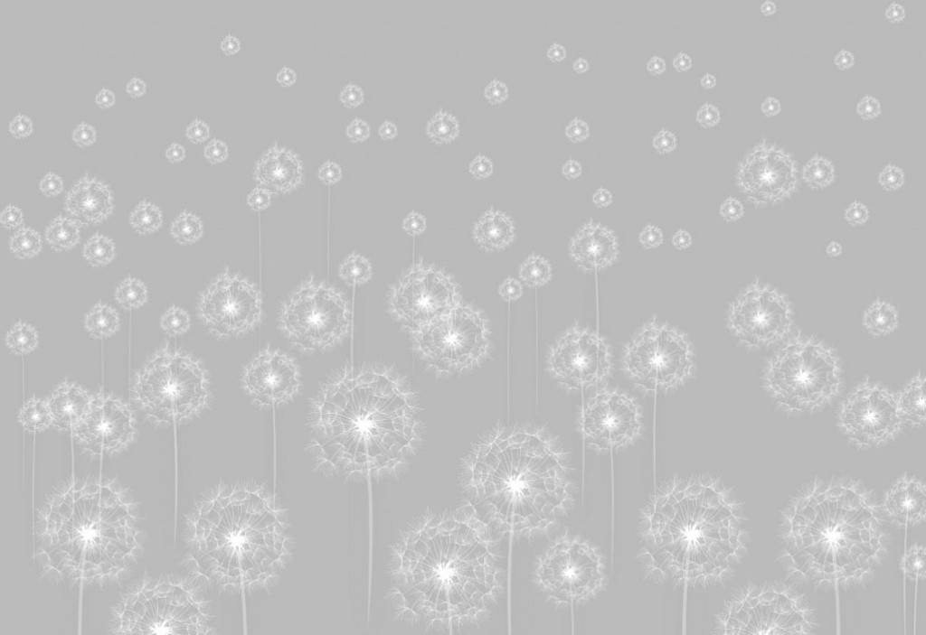 Фотообои Белые одуванчики, вектор