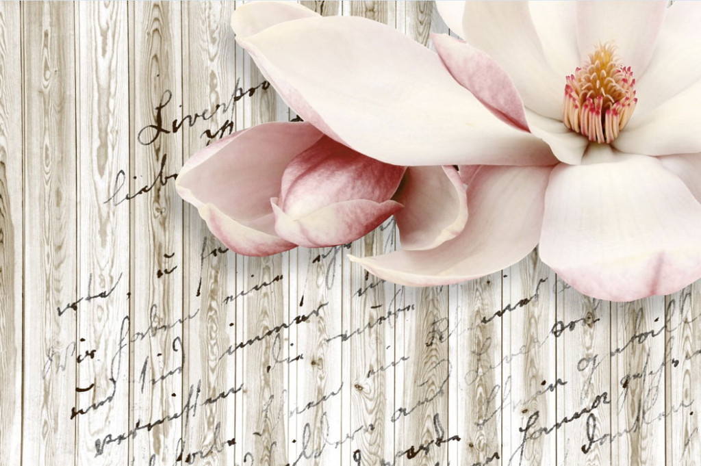 Фотообои Магнолия