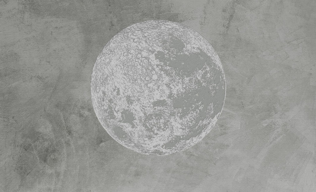 Фотообои Серая монохромная планета