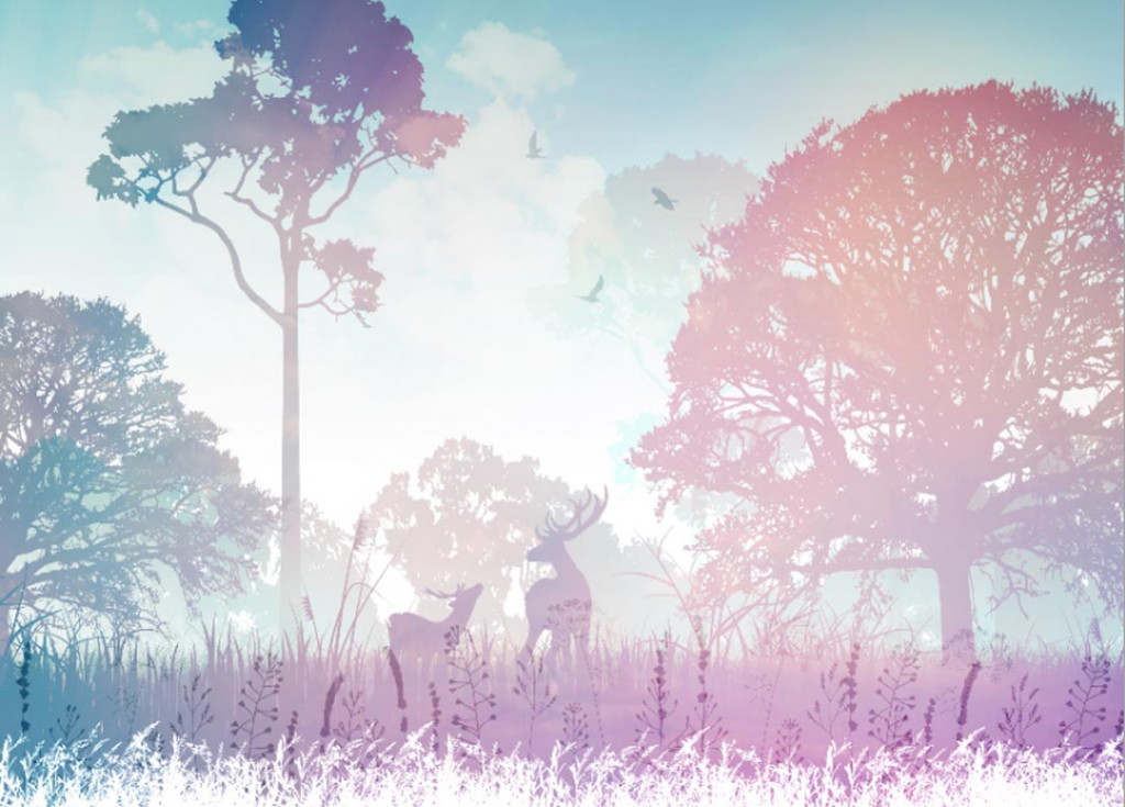 Фотообои Сказочный лес с олеями