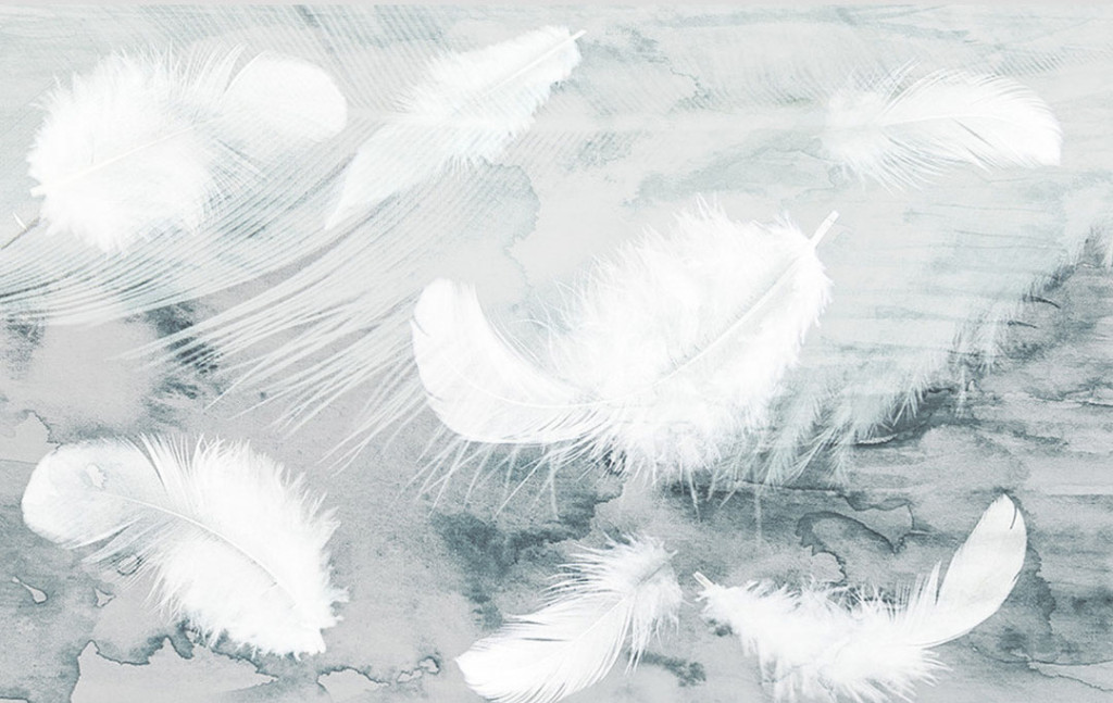 Фотообои Пушистые перья на акварели