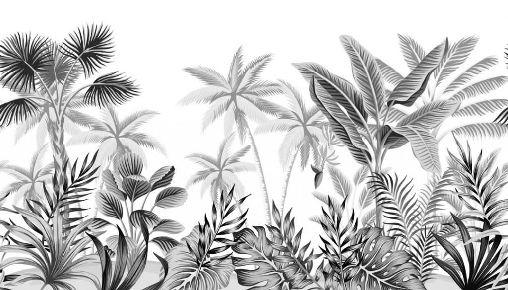 Фотообои Монохромные тропики