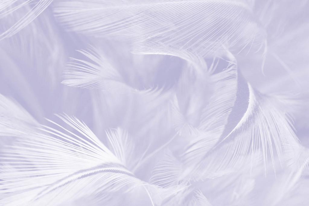 Фотообои перья