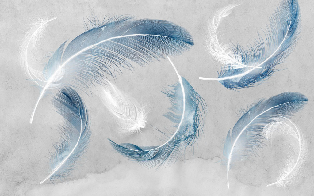 Фотообои голубые перья